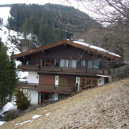 Appartement Bernkogel Зальбах-Гінтерглемм Екстер'єр фото
